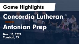 Concordia Lutheran  vs Antonian Prep  Game Highlights - Nov. 13, 2021