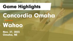 Concordia Omaha vs Wahoo  Game Highlights - Nov. 27, 2023
