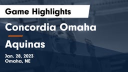 Concordia Omaha vs Aquinas  Game Highlights - Jan. 28, 2023