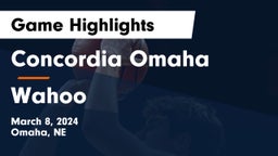 Concordia Omaha vs Wahoo  Game Highlights - March 8, 2024