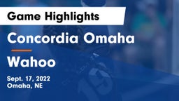 Concordia Omaha vs Wahoo  Game Highlights - Sept. 17, 2022