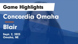 Concordia Omaha vs Blair  Game Highlights - Sept. 2, 2023