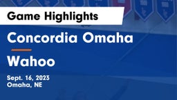 Concordia Omaha vs Wahoo  Game Highlights - Sept. 16, 2023