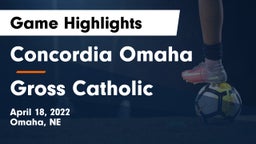 Concordia Omaha vs Gross Catholic  Game Highlights - April 18, 2022