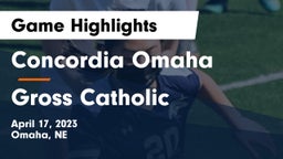 Concordia Omaha vs Gross Catholic  Game Highlights - April 17, 2023