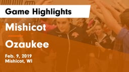 Mishicot  vs Ozaukee  Game Highlights - Feb. 9, 2019