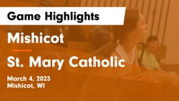 Mishicot  vs St. Mary Catholic  Game Highlights - March 4, 2023
