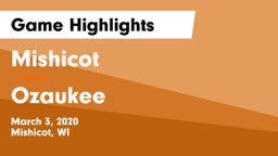 Mishicot  vs Ozaukee  Game Highlights - March 3, 2020
