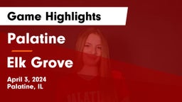 Palatine  vs Elk Grove  Game Highlights - April 3, 2024