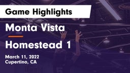 Monta Vista  vs Homestead 1 Game Highlights - March 11, 2022