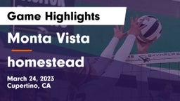 Monta Vista  vs homestead Game Highlights - March 24, 2023