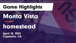 Monta Vista  vs homestead Game Highlights - April 10, 2024