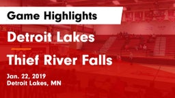 Detroit Lakes  vs Thief River Falls  Game Highlights - Jan. 22, 2019