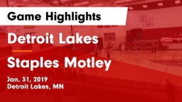 Detroit Lakes  vs Staples Motley Game Highlights - Jan. 31, 2019