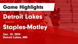 Detroit Lakes  vs Staples-Motley  Game Highlights - Jan. 18, 2024