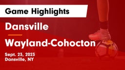 Dansville  vs Wayland-Cohocton  Game Highlights - Sept. 23, 2023