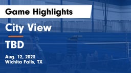City View  vs TBD Game Highlights - Aug. 12, 2023