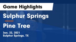 Sulphur Springs  vs Pine Tree  Game Highlights - Jan. 22, 2021