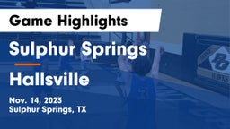 Sulphur Springs  vs Hallsville  Game Highlights - Nov. 14, 2023
