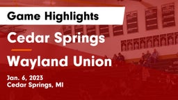 Cedar Springs  vs Wayland Union  Game Highlights - Jan. 6, 2023