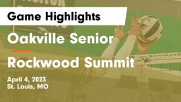Oakville Senior  vs Rockwood Summit  Game Highlights - April 4, 2023