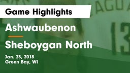 Ashwaubenon  vs Sheboygan North  Game Highlights - Jan. 23, 2018