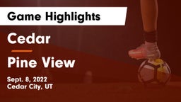 Cedar  vs Pine View  Game Highlights - Sept. 8, 2022