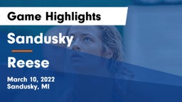 Sandusky  vs Reese  Game Highlights - March 10, 2022