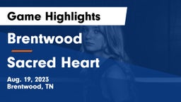 Brentwood  vs Sacred Heart Game Highlights - Aug. 19, 2023