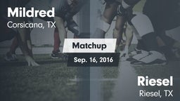 Matchup: Mildred  vs. Riesel  2016
