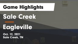 Sale Creek  vs Eagleville Game Highlights - Oct. 12, 2021