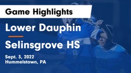 Lower Dauphin  vs Selinsgrove HS Game Highlights - Sept. 3, 2022