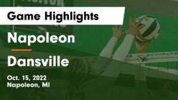 Napoleon  vs Dansville  Game Highlights - Oct. 15, 2022
