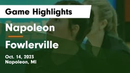Napoleon  vs Fowlerville  Game Highlights - Oct. 14, 2023