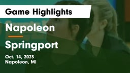 Napoleon  vs Springport Game Highlights - Oct. 14, 2023