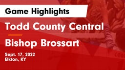 Todd County Central  vs Bishop Brossart Game Highlights - Sept. 17, 2022