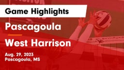 Pascagoula  vs West Harrison  Game Highlights - Aug. 29, 2023