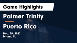 Palmer Trinity  vs Puerto Rico Game Highlights - Dec. 28, 2022