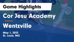 Cor Jesu Academy vs Wentzville Game Highlights - May 1, 2023