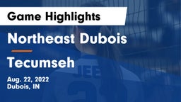 Northeast Dubois  vs Tecumseh  Game Highlights - Aug. 22, 2022