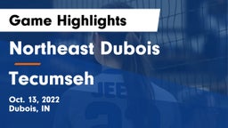 Northeast Dubois  vs Tecumseh  Game Highlights - Oct. 13, 2022