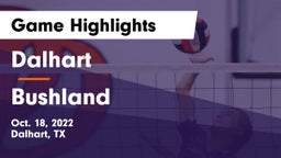 Dalhart  vs Bushland  Game Highlights - Oct. 18, 2022