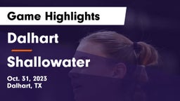 Dalhart  vs Shallowater  Game Highlights - Oct. 31, 2023