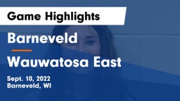 Barneveld  vs Wauwatosa East  Game Highlights - Sept. 10, 2022