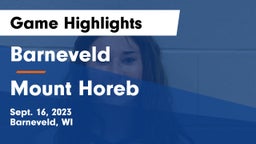 Barneveld  vs Mount Horeb  Game Highlights - Sept. 16, 2023