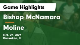 Bishop McNamara  vs Moline Game Highlights - Oct. 22, 2022