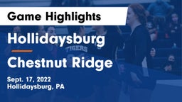 Hollidaysburg  vs Chestnut Ridge  Game Highlights - Sept. 17, 2022