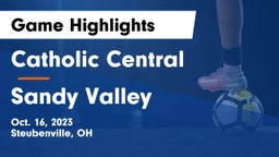 Catholic Central  vs Sandy Valley  Game Highlights - Oct. 16, 2023