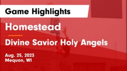 Homestead  vs Divine Savior Holy Angels Game Highlights - Aug. 25, 2023