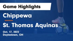 Chippewa  vs St. Thomas Aquinas  Game Highlights - Oct. 17, 2022